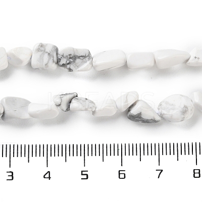 Natural Howlite Beads Strands G-P497-01C-64-1