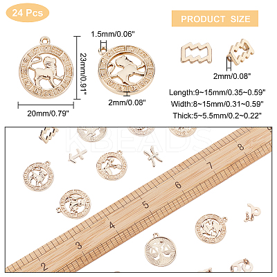 2 Bags 2 Style Alloy Pendants PALLOY-AR0001-23-1