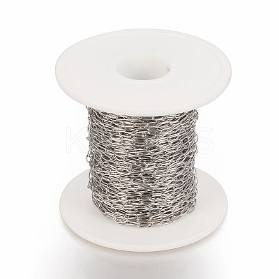 Tarnish Resistant 304 Stainless Steel Paperclip Chains CHS-F010-01H-P-1