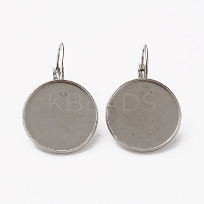 Tarnish Resistant 304 Stainless Steel Leverback Earring Findings LS-STAS-L253-005A-P-1