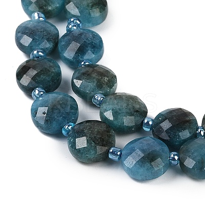 Natural Apatite Beads Strands G-B094-A27-01-1