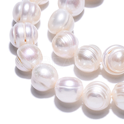 Natural Cultured Freshwater Pearl Beads Strands PEAR-N013-10F-1
