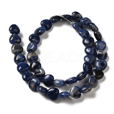 Natural Sodalite Beads Strands G-B022-18B-1