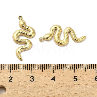 304 Stainless Steel Pendants STAS-L022-126G-1