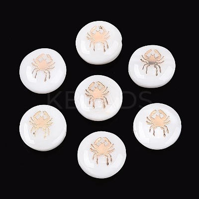 Natural Freshwater Shell Beads SHEL-N037-02L-G-1
