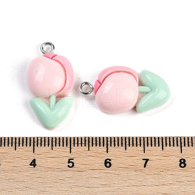 Resin Pendants LS-RESI-I061-04A-1