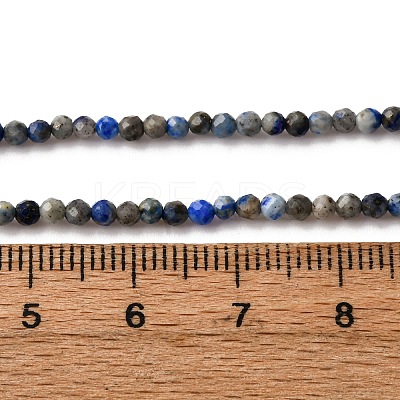 Natural Lapis Lazuli Beads Strands LS-G-L629-B01-2mm-03-1