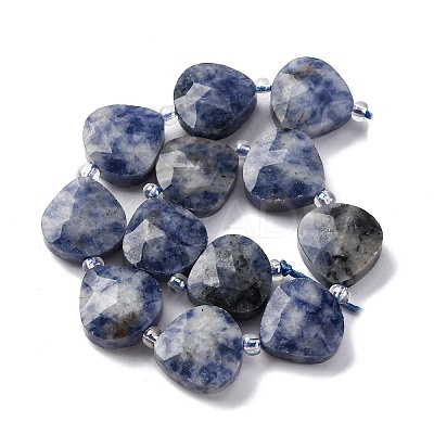 Natural Blue Spot Jasper Beads Strands G-P570-E19-02-1