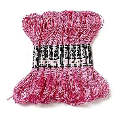 10 Skeins 12-Ply Metallic Polyester Embroidery Floss OCOR-Q057-A16-1