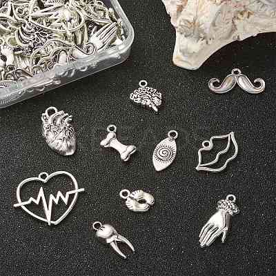 100Pcs 10 Styles Tibetan Style Alloy Charms TIBEP-CJ0002-51-1