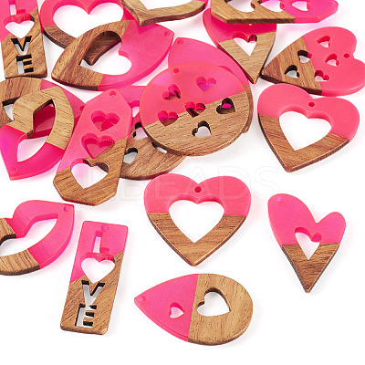 20Pcs 10 Styles Resin and Walnut Pendants WOOD-TA0002-73B-1