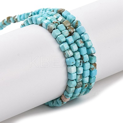 Natural Howlite Beads Strands G-G001-A02-03-1