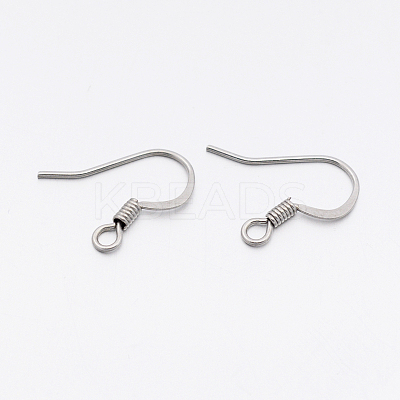 Tarnish Resistant 304 Stainless Steel French Earring Hooks STAS-E074-43-1