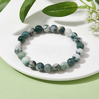 Natural Tree Agate Round Bead Stretch Bracelets for Women BJEW-JB09871-1