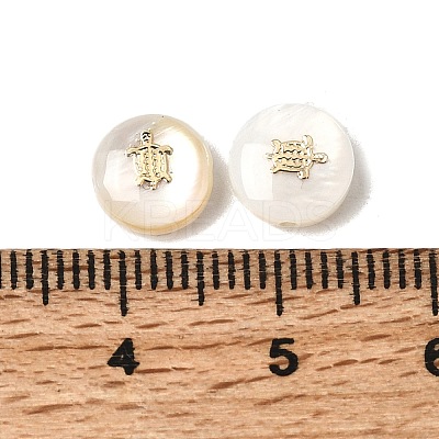Natural Freshwater Shell Flat Round Beads SHEL-C009-01A-1