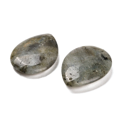 Natural Labradorite Pendants G-Z088-02K-1