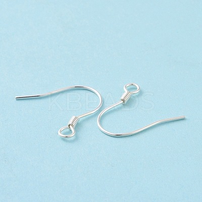 925 Sterling Silver Earring Hooks STER-D035-22S-1