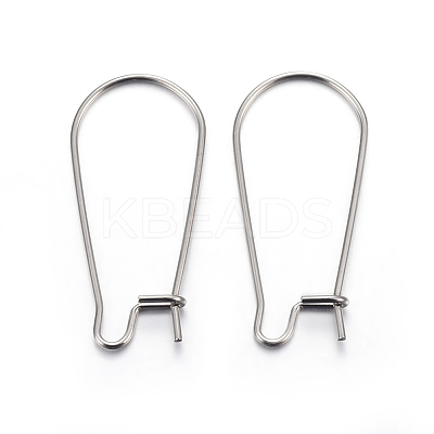Tarnish Resistant 304 Stainless Steel Hoop Earring Findings STAS-P223-01P-02-1