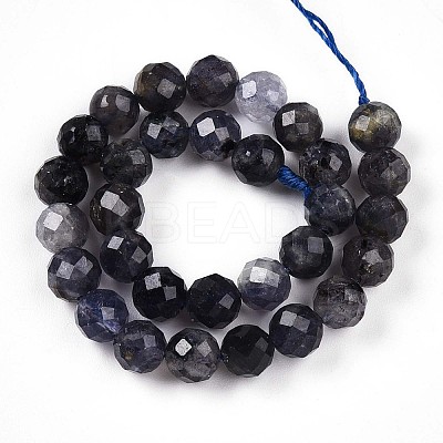 Natural Cordierite/Iolite/Dichroite Beads Strands G-S345-6mm-27-1