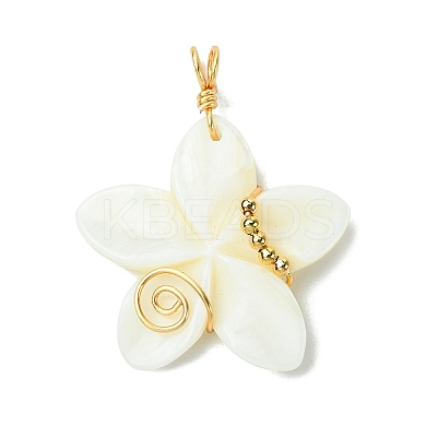 Natural Carved Freshwater Shell Pendants PALLOY-JF03390-1