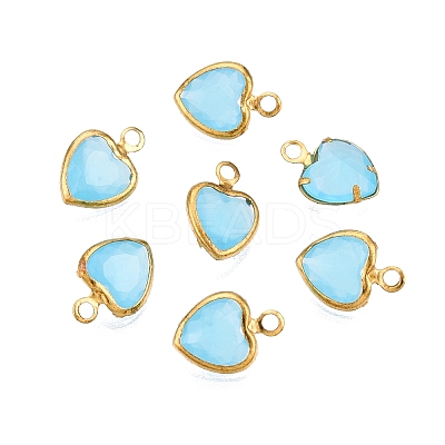 K9 Glass Charms GLAA-T023-11D-1