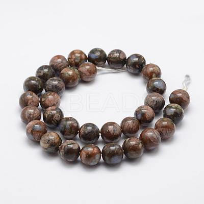 Natural Glaucophane Beads Strands G-K209-04A-12mm-1