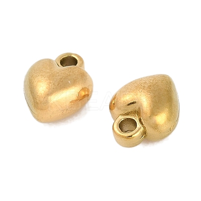 Ion Plating(IP) 304 Stainless Steel Charms STAS-R135-01G-01-1