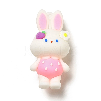 PVC Plastic Big Pendants LS-KY-C011-01A-1