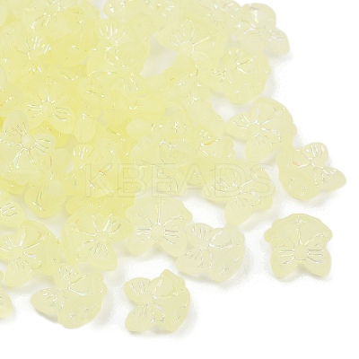 Frosted Transparent Acrylic Beads OACR-P029-18B-03-1