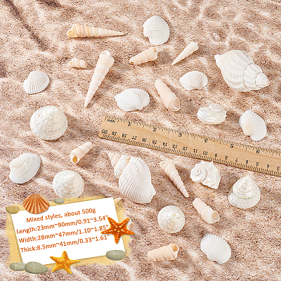 Natural Shell for Crafting Fish Tank Vase Fillers DIY-WH0002-98-1