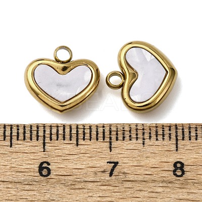 304 Stainless Steel Resin Pendants STAS-P406-15A-G-1