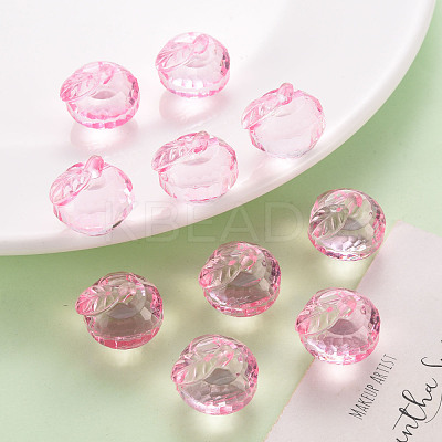 Transparent Acrylic Pendants TACR-T024-05B-903-1