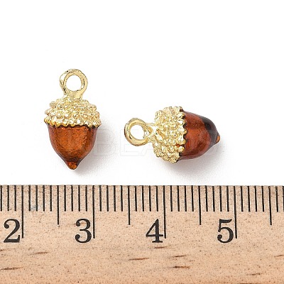 Alloy Enamel Charms X-FIND-C074-02A-1