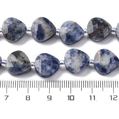 Natural Blue Spot Jasper Beads Strands G-P570-E19-02-1