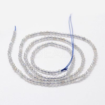 Natural Labradorite Beads Strands G-K185-10-1