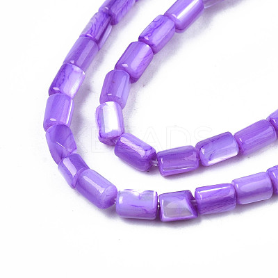 Natural Trochid Shell/Trochus Shell Beads Strands SHEL-N003-26-B02-1