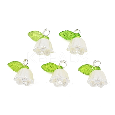Acrylic with ABS Plastic Imitation Pearl Pendants PALLOY-JF05659-12-1