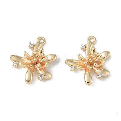 Brass Pendants KK-H482-19G-1