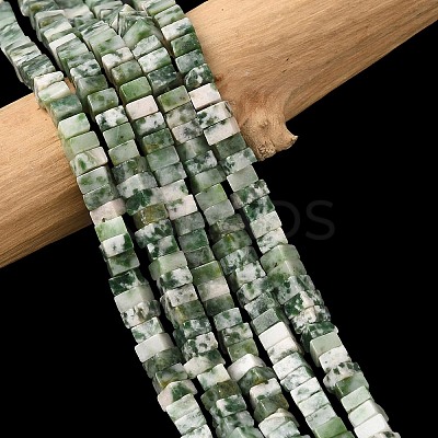 Natural Green Spot Jasper Beads Strands G-A280-C14-01-1