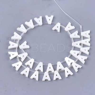 Natural Freshwater Shell Beads SHEL-T012-59A-1