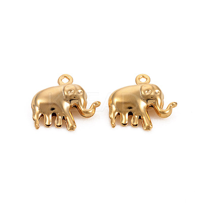 304 Stainless Steel Charms STAS-L244-07G-1