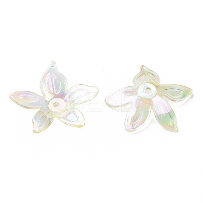 Transparent Acrylic Beads MACR-S373-102-C06-1