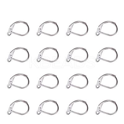 Tarnish Resistant 304 Stainless Steel Leverback Earring Findings STAS-L190-14P-1