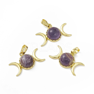 Natural Amethyst Pendants G-H283-02A-1