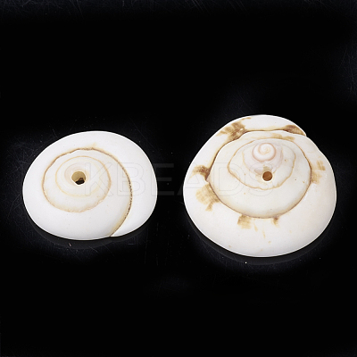 Natural Shiva Eye Shell Beads SSHEL-Q302-01-1