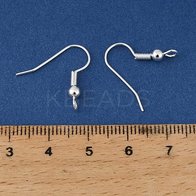 Brass Earring Hooks KK-H258-06B-S-1