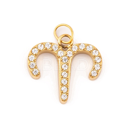 316 Stainless Steel Micro Pave Cubic Zirconia Pendants STAS-K284-01A-G-1