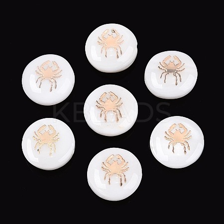 Natural Freshwater Shell Beads SHEL-N037-02L-G-1
