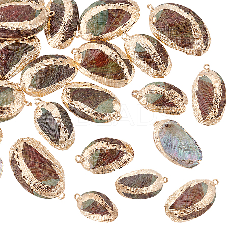 20Pcs Electroplated Natural Paua Shell Pendants SSHEL-PH0001-49-1