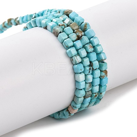 Natural Howlite Beads Strands G-G001-A02-03-1